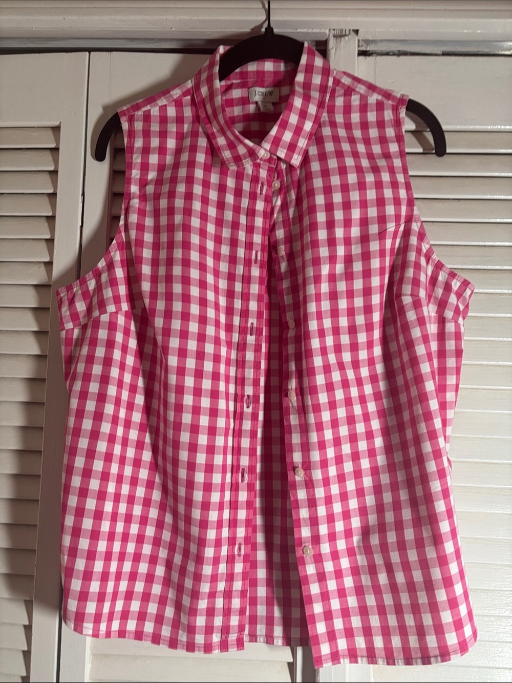Pink & White Gingham Sleeveless Button-Down Shirt